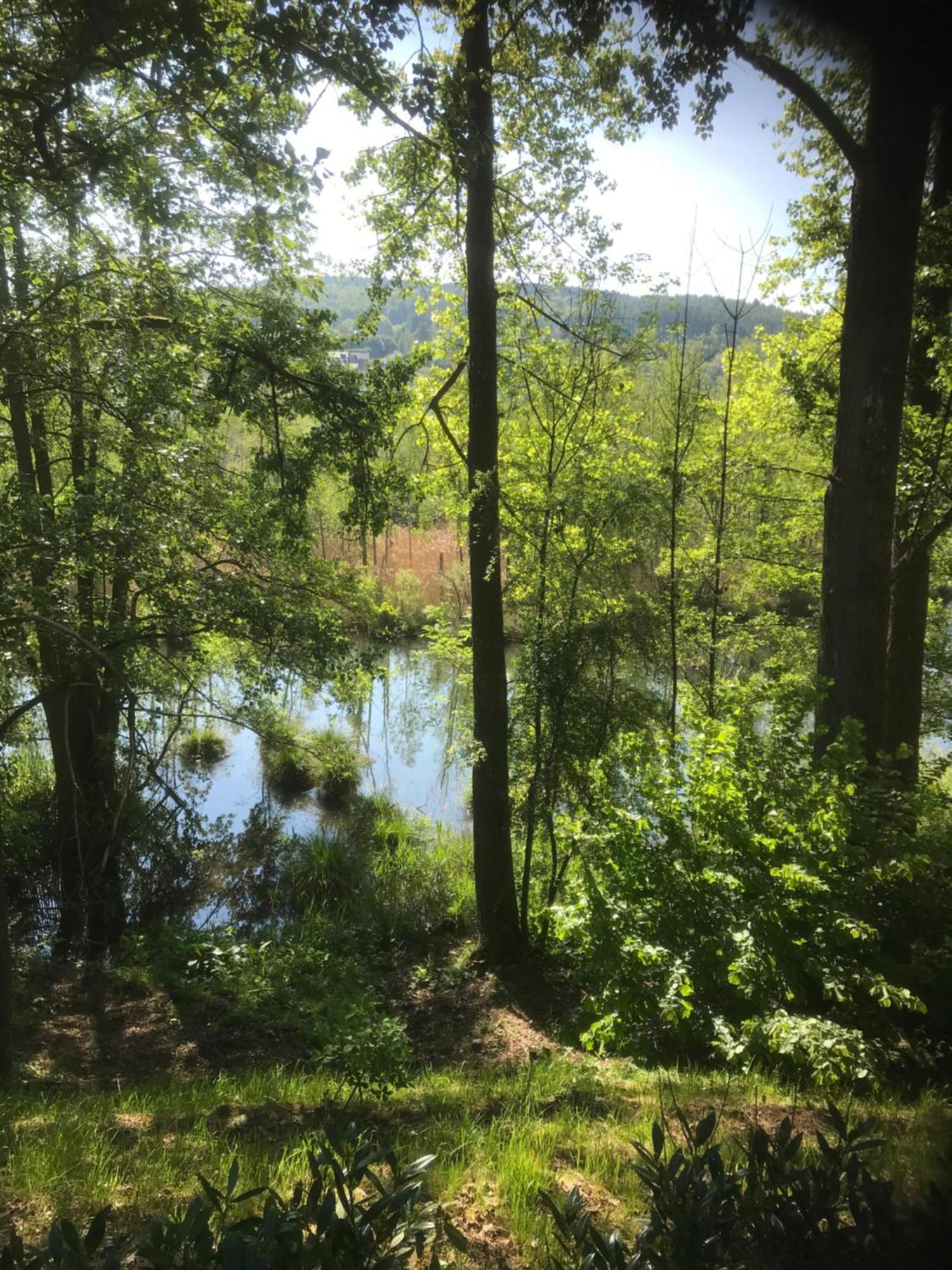 Hotel Dufays Stavelot Eksteriør bilde